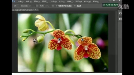 pscs3和cs6的区别 photoshopcs3与cs6 