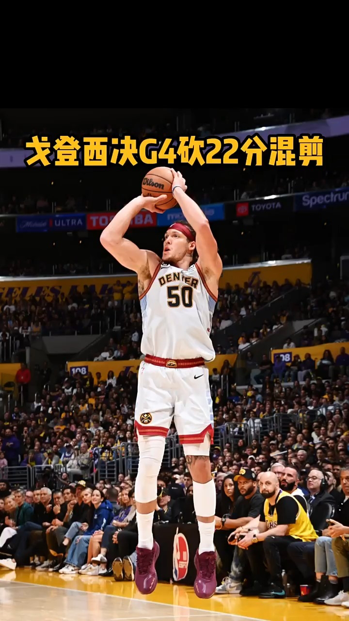 戈登绝杀封盖漫天：猛龙篮板爆破的简单介绍